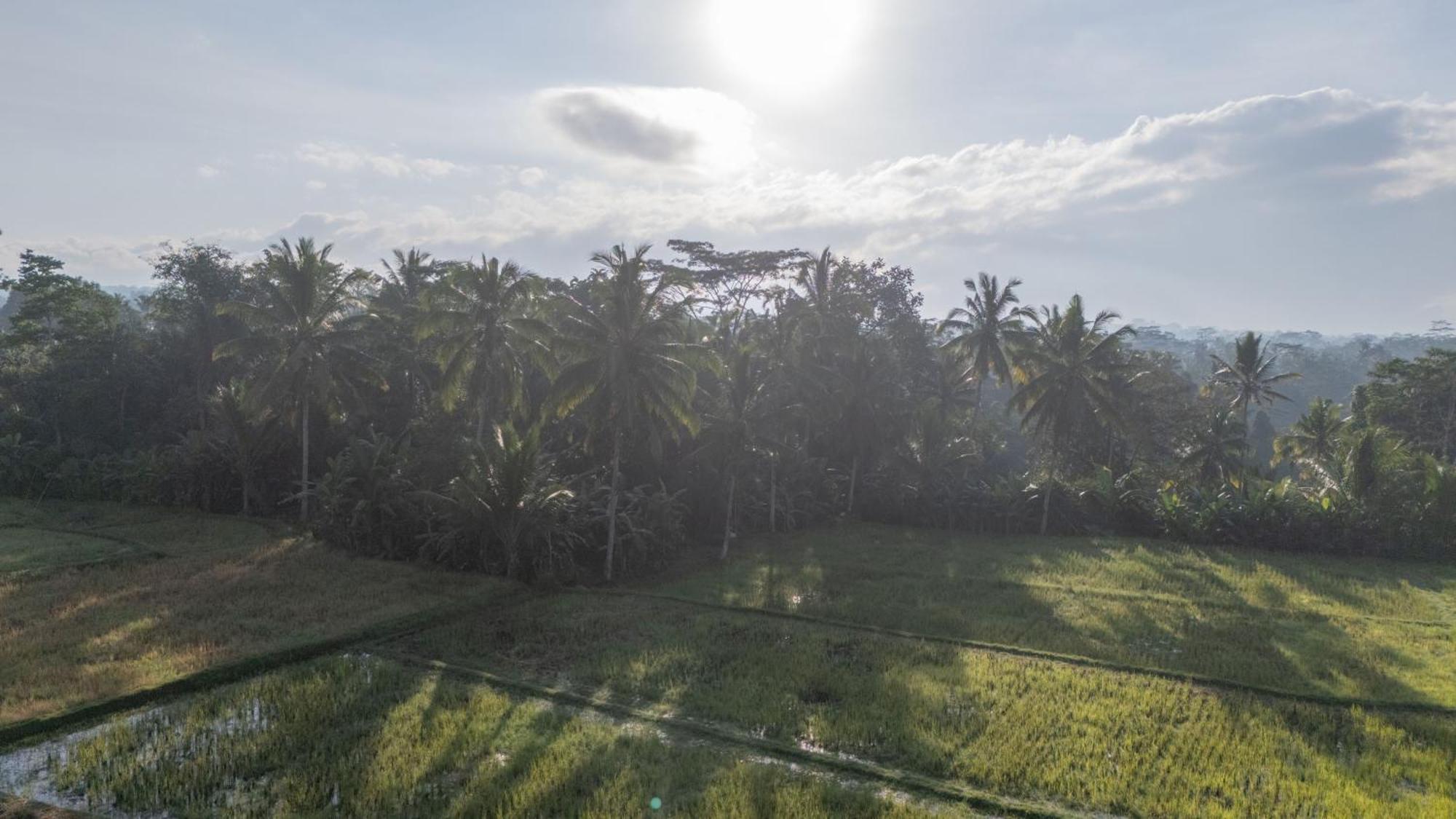Aditara Sebatu Villa Ubud Exteriér fotografie