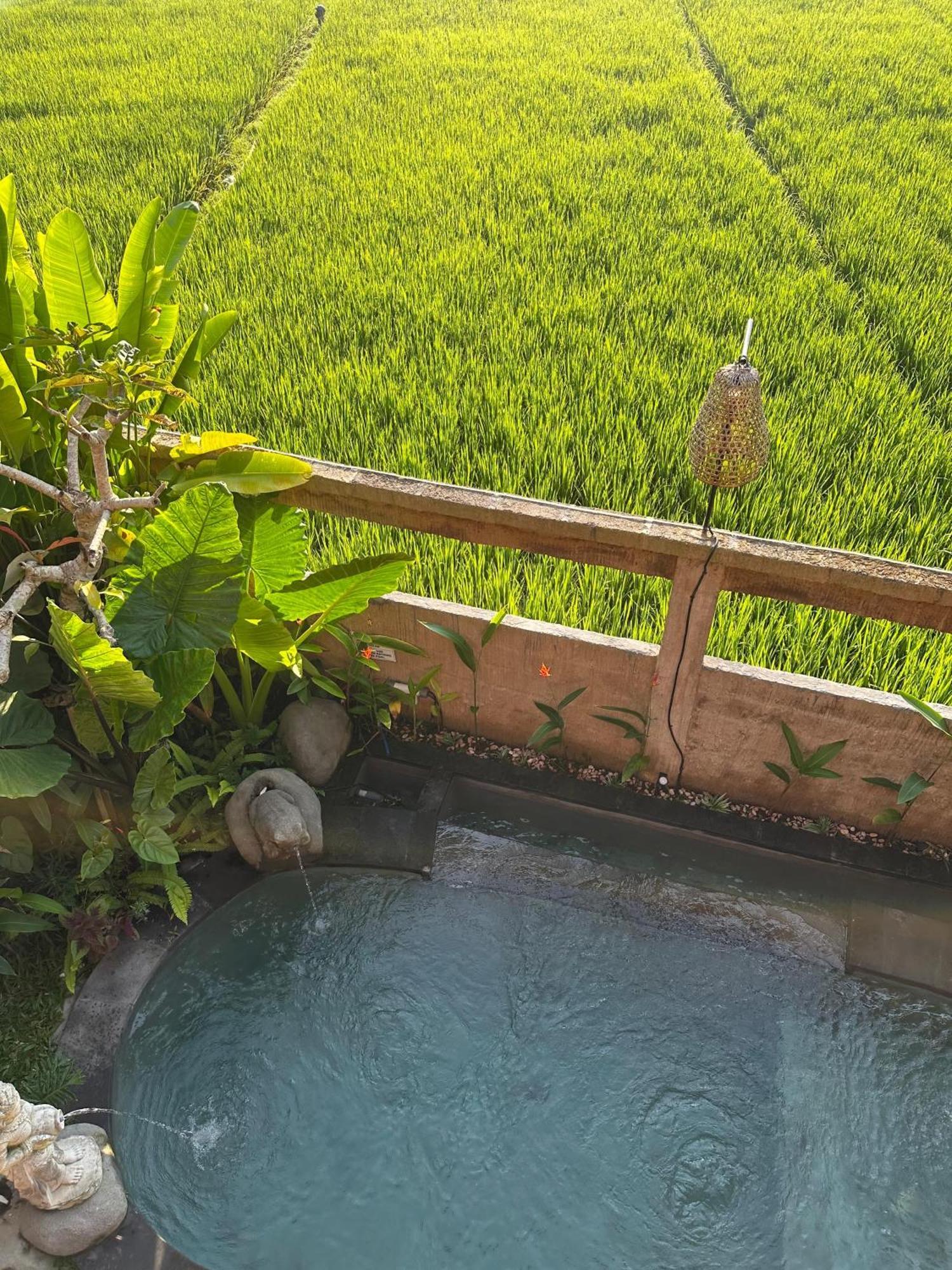 Aditara Sebatu Villa Ubud Exteriér fotografie